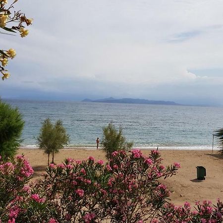 Perfect Beachfront Apartment Афины Экстерьер фото