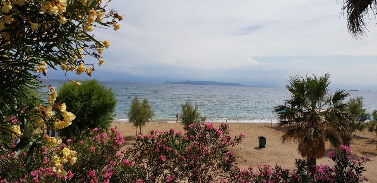 Perfect Beachfront Apartment Афины Экстерьер фото